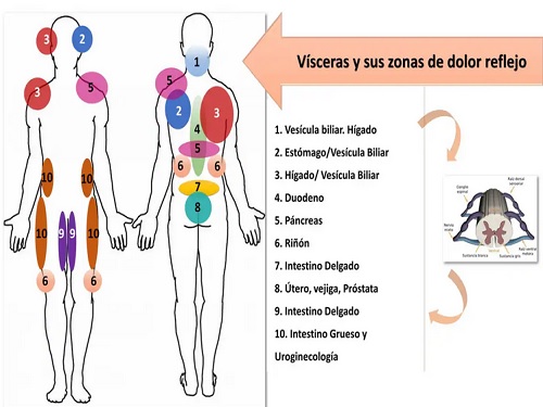 Fisiogenómica: tu ADN en la mesa