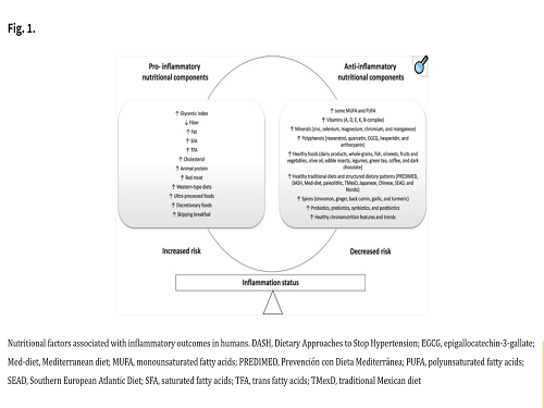 The Role of Nutrition on Meta-inflammation: Insights and Potential Targets in Communicable and Chronic Disease Management.